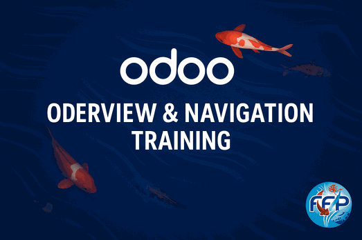 Odoo - Sample 1 for three columns