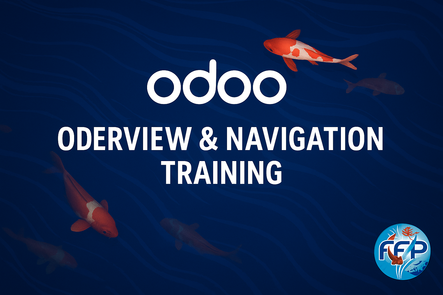 Odoo Overview &amp; Navigation Training